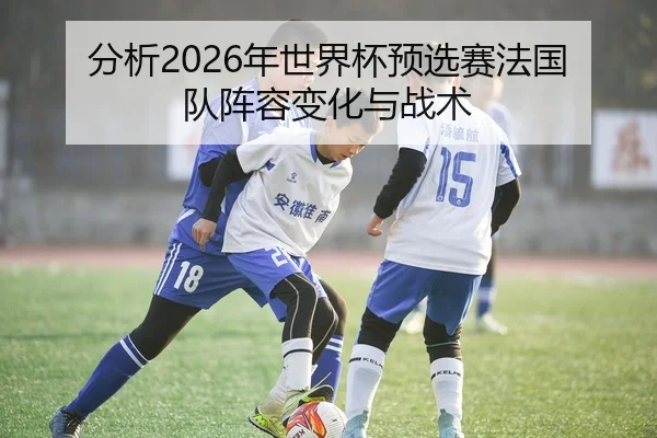 分析2026年世界杯预选赛法国队阵容变化与战术