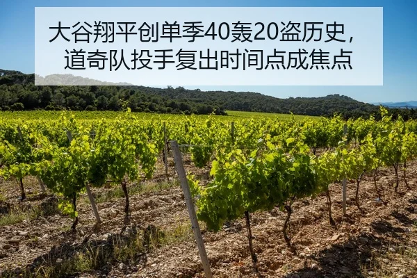 大谷翔平创单季40轰20盗历史，道奇队投手复出时间点成焦点