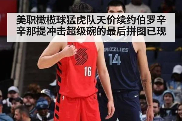 美职橄榄球猛虎队天价续约伯罗辛辛那提冲击超级碗的最后拼图已现